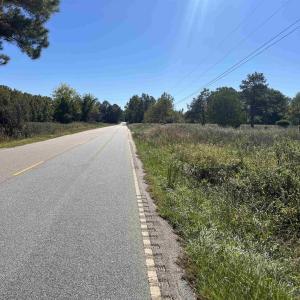 Photo #3 of Screwpin Rd, Blenheim, SC 83.4 acres