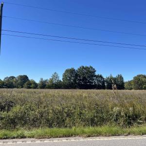 Photo #1 of Screwpin Rd, Blenheim, SC 83.4 acres