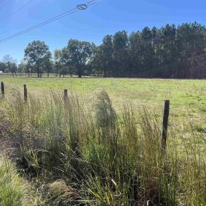 Photo #7 of Screwpin Rd, Blenheim, SC 83.4 acres