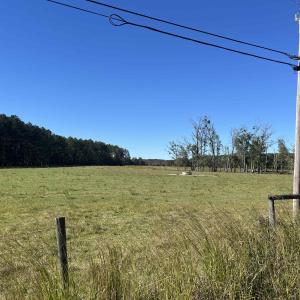 Photo #6 of Screwpin Rd, Blenheim, SC 83.4 acres