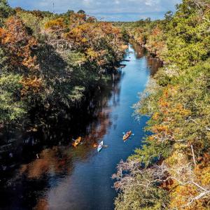 Photo #4 of 11 Gulley Ln., Salters, SC 1.0 acres