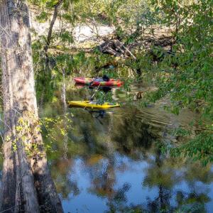 Photo #33 of 11 Gulley Ln., Salters, SC 1.0 acres