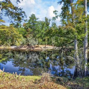 Photo #30 of 11 Gulley Ln., Salters, SC 1.0 acres