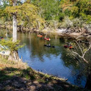 Photo #35 of 11 Gulley Ln., Salters, SC 1.0 acres