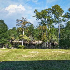 Photo #29 of 11 Gulley Ln., Salters, SC 1.0 acres