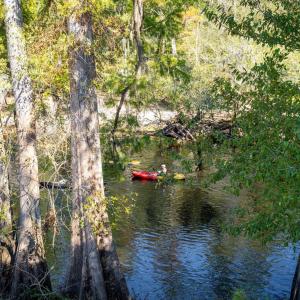 Photo #34 of 11 Gulley Ln., Salters, SC 1.0 acres
