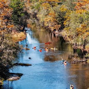 Photo #3 of 11 Gulley Ln., Salters, SC 1.0 acres