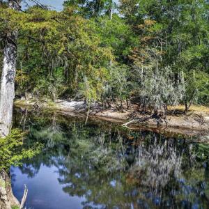 Photo #31 of 11 Gulley Ln., Salters, SC 1.0 acres