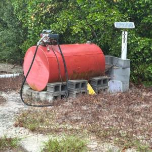 Photo #14 of 1616 Old Hamer Rd., Hamer, SC 110.0 acres
