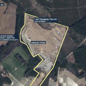 Photo #1 of 1616 Old Hamer Rd., Hamer, SC 110.0 acres
