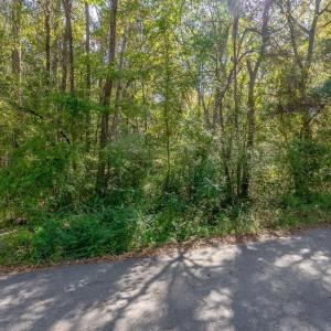 Photo #16 of TBD Barnes Rd., Andrews, SC 1.0 acres