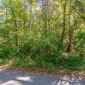 Photo #14 of TBD Barnes Rd., Andrews, SC 1.0 acres