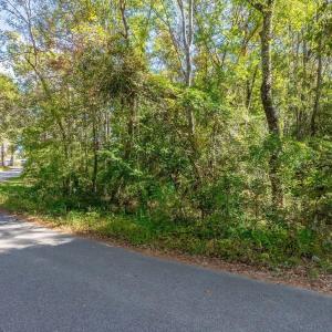 Photo #18 of TBD Barnes Rd., Andrews, SC 1.0 acres