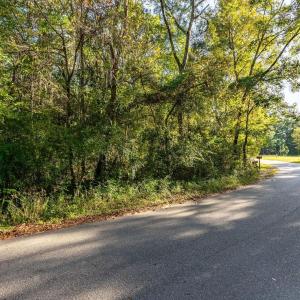 Photo #13 of TBD Barnes Rd., Andrews, SC 1.0 acres