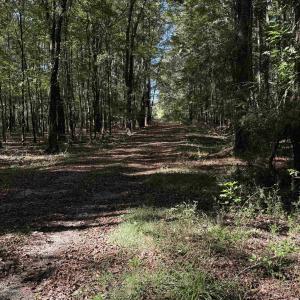 Photo #6 of  228.8 acres
