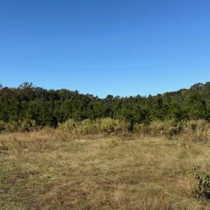 Photo #4 of  228.8 acres