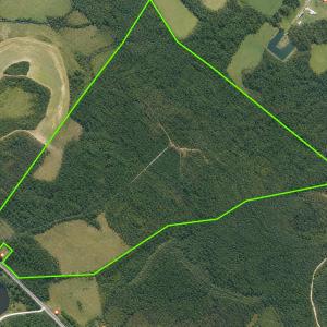 Photo #1 of  228.8 acres