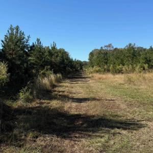 Photo #11 of  228.8 acres