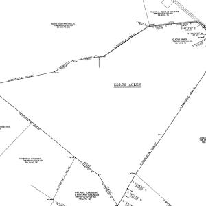 Photo #13 of  228.8 acres
