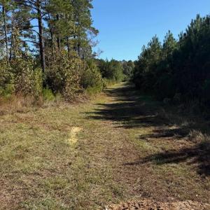 Photo #12 of  228.8 acres