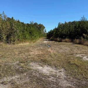 Photo #7 of  228.8 acres