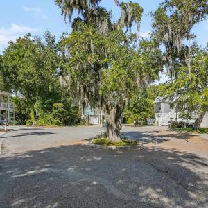 Photo #8 of 117 Seagrass Ct., Pawleys Island, SC 0.3 acres