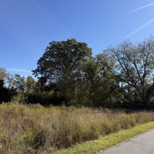 Photo #9 of TBD Methodist Church Rd., Marion, SC 30.0 acres