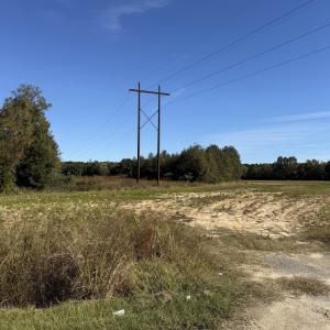 Photo #3 of TBD Methodist Church Rd., Marion, SC 30.0 acres