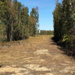 Photo #6 of TBD Methodist Church Rd., Marion, SC 30.0 acres