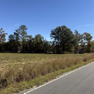 Photo #7 of TBD Methodist Church Rd., Marion, SC 30.0 acres