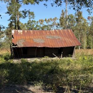 Photo #4 of TBD Methodist Church Rd., Marion, SC 30.0 acres