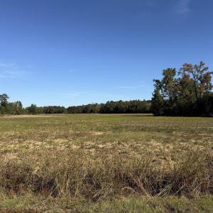 Photo #2 of TBD Methodist Church Rd., Marion, SC 30.0 acres