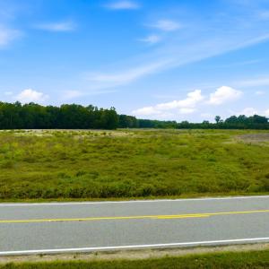 Photo #12 of Lot 6 Kemper Rd., Nichols, SC 2.2 acres