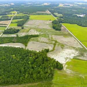 Photo #16 of Lot 6 Kemper Rd., Nichols, SC 2.2 acres