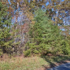 Photo #2 of Woods Edge Drive, Rocky Mount, VA 1.1 acres