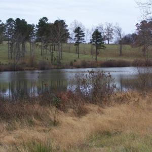 Photo #5 of 417 Country Estates Road, Appomattox, VA 60.0 acres