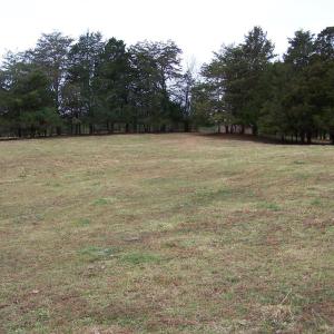 Photo #13 of 417 Country Estates Road, Appomattox, VA 60.0 acres