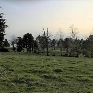 Photo #30 of 417 Country Estates Road, Appomattox, VA 60.0 acres