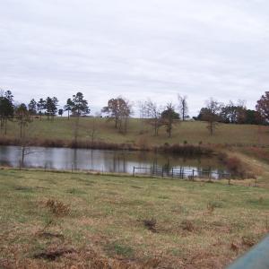 Photo #7 of 417 Country Estates Road, Appomattox, VA 60.0 acres