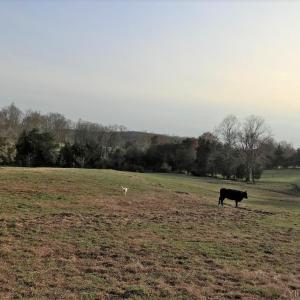 Photo #18 of 417 Country Estates Road, Appomattox, VA 60.0 acres