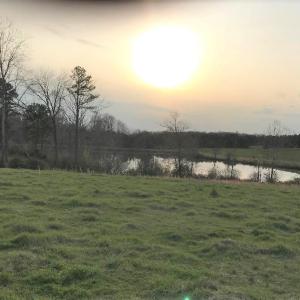 Photo #1 of 417 Country Estates Road, Appomattox, VA 60.0 acres