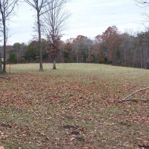 Photo #9 of 417 Country Estates Road, Appomattox, VA 60.0 acres