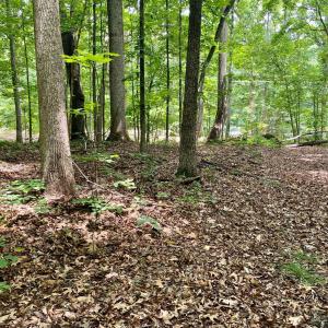 Photo #7 of SOLD property in 0 Lynchburg Salem Turnpike East, Forest, VA 4.2 acres