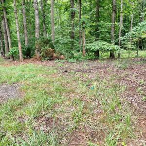 Photo #5 of SOLD property in 0 Lynchburg Salem Turnpike East, Forest, VA 4.2 acres