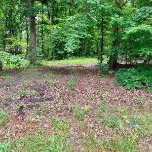 Photo #4 of SOLD property in 0 Lynchburg Salem Turnpike East, Forest, VA 4.2 acres