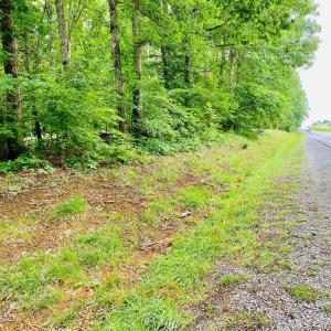Photo #19 of SOLD property in 0 Lynchburg Salem Turnpike East, Forest, VA 4.2 acres