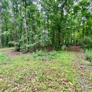 Photo #17 of SOLD property in 0 Lynchburg Salem Turnpike East, Forest, VA 4.2 acres