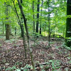 Photo #15 of SOLD property in 0 Lynchburg Salem Turnpike East, Forest, VA 4.2 acres