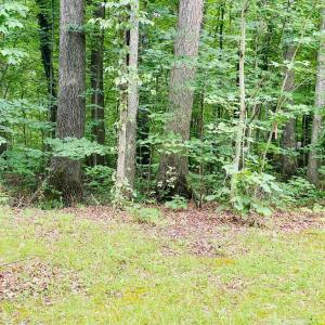 Photo #9 of SOLD property in 0 Lynchburg Salem Turnpike East, Forest, VA 4.2 acres