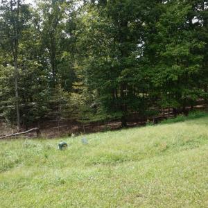 Photo #9 of 0 Eyrie View Drive, Lynchburg, VA 2.2 acres